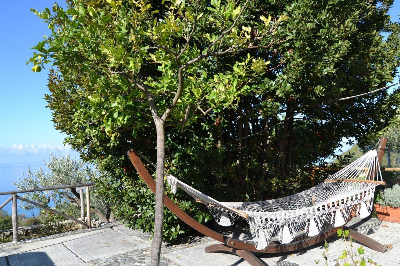 Borgo Rosso Di Sera Resort San Lucido Eksteriør bilde