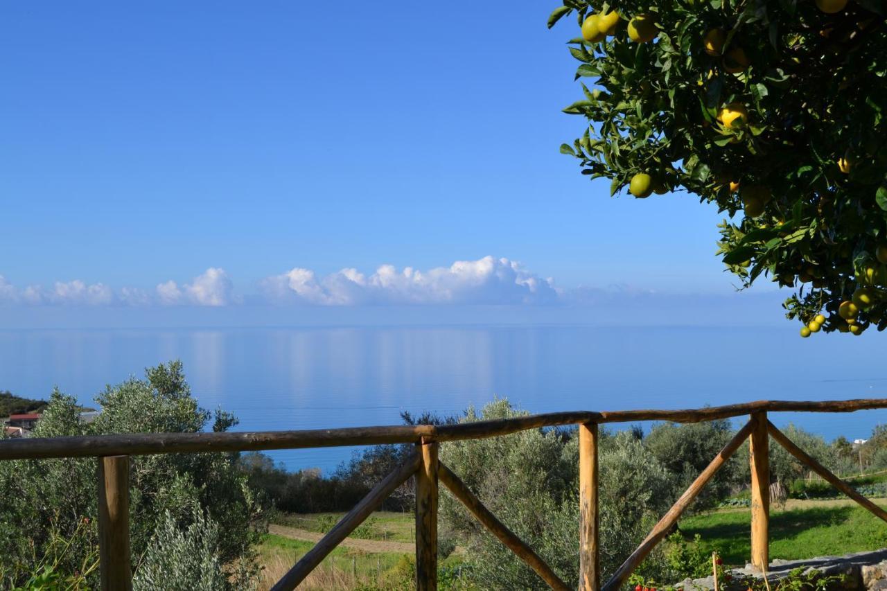 Borgo Rosso Di Sera Resort San Lucido Eksteriør bilde