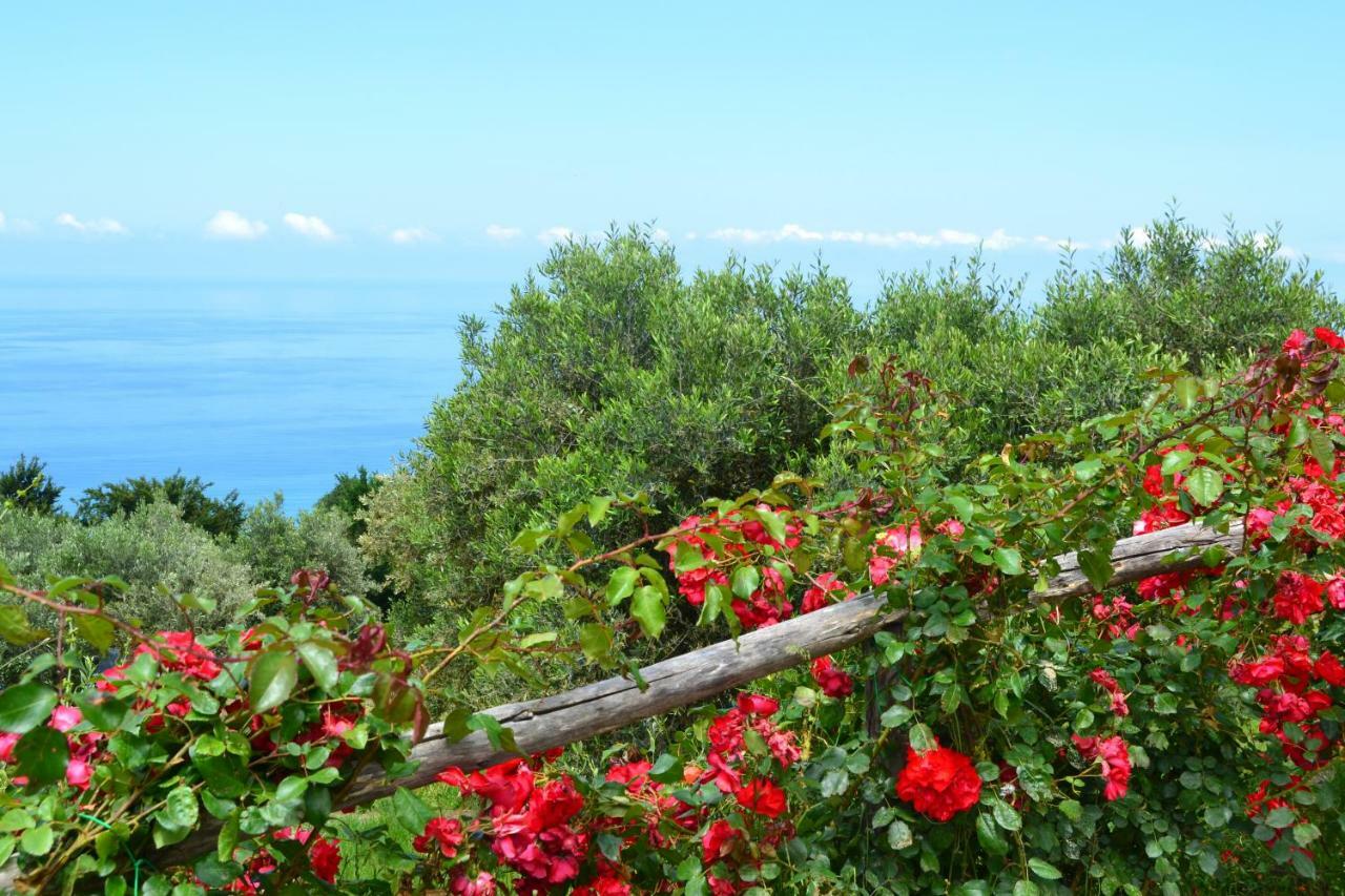 Borgo Rosso Di Sera Resort San Lucido Eksteriør bilde